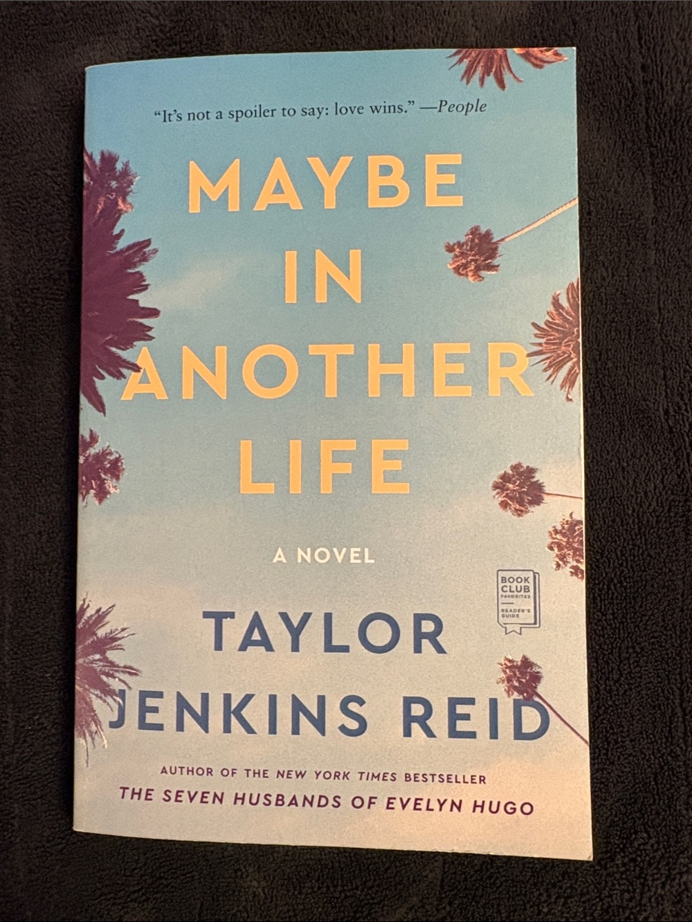 Maybe in Another Life - Blue Paperback Novel